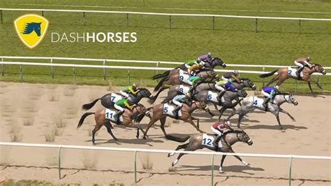yesterdays virtual racing results|Horse Racing Results .